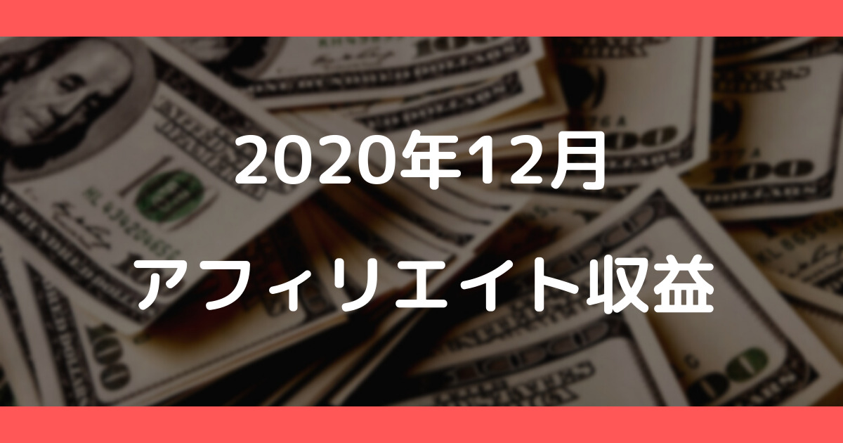 【12月】2020年最後の収益公開！